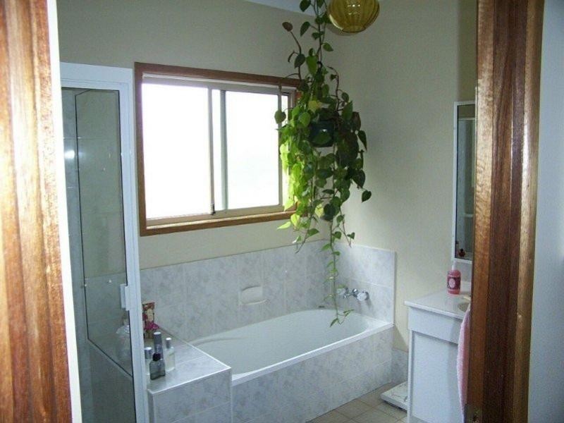 8 Patterson Street, Russell Island QLD 4184