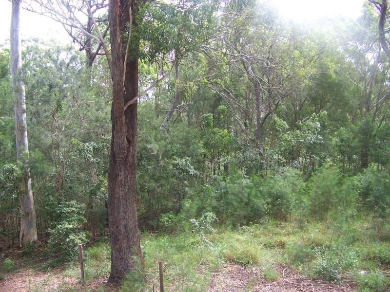 30 Harvey Street, Russell Island QLD 4184