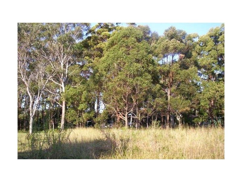 24 Oaklea Street, Russell Island QLD 4184