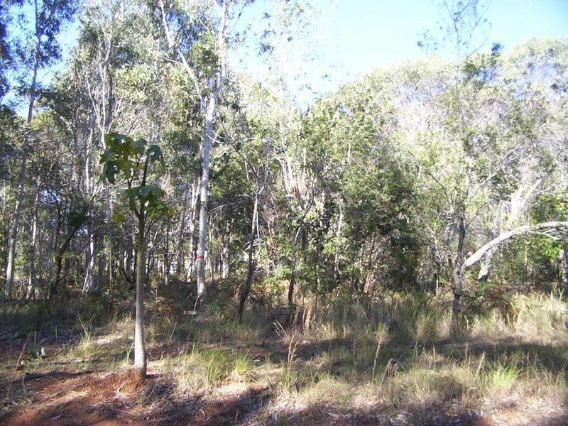 99  South End Road, Russell Island QLD 4184