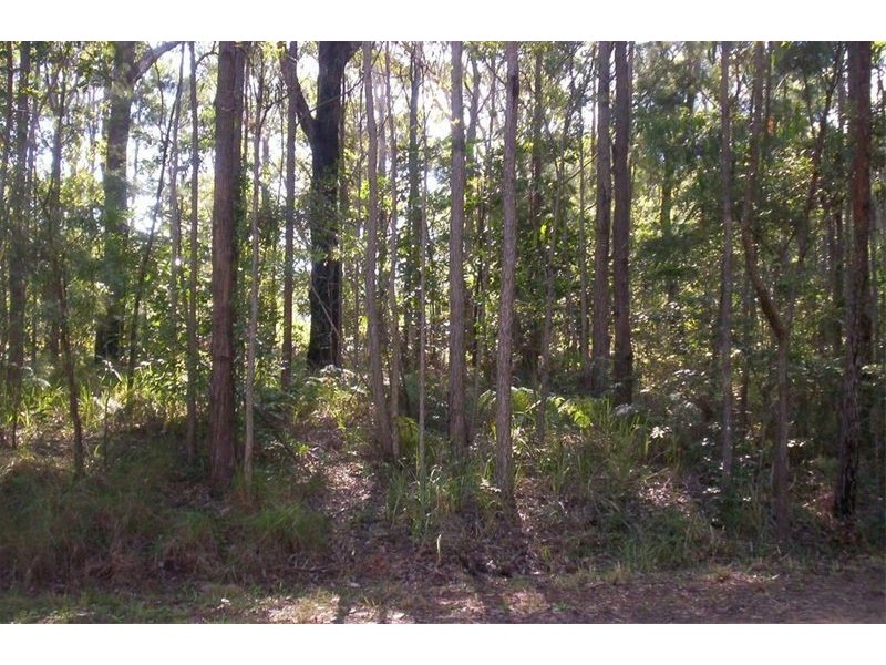 31 Dempsey Street, Russell Island QLD 4184