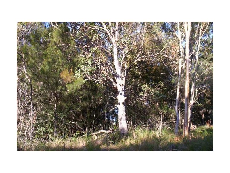 119 Highland Ridge Road, Russell Island QLD 4184