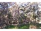 3 Petunia Street, Russell Island QLD 4184