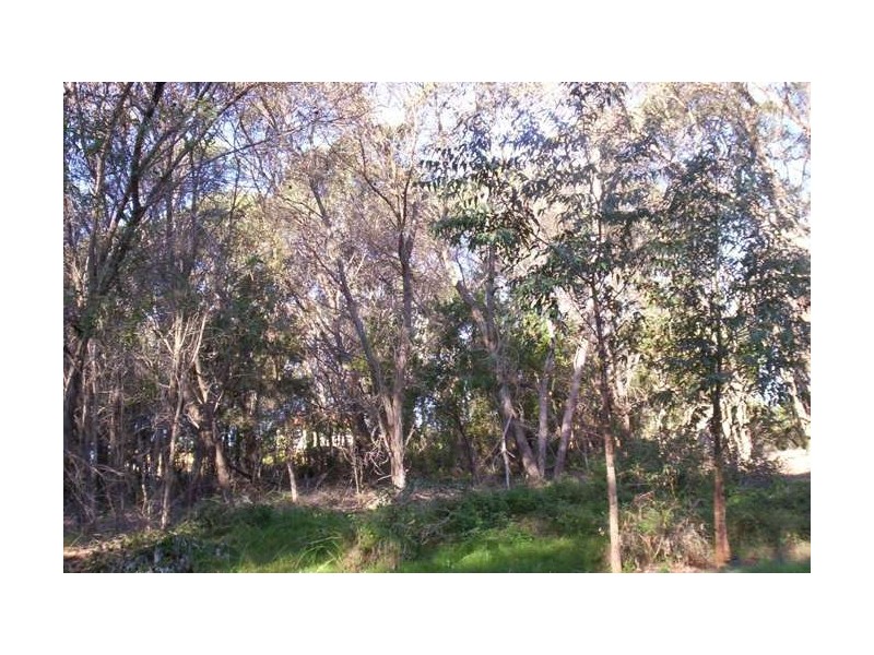 3 Petunia Street, Russell Island QLD 4184