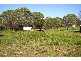38 pharlap, Russell Island QLD 4184