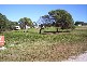 38 pharlap, Russell Island QLD 4184