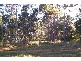 89  Laurel Street, Russell Island QLD 4184