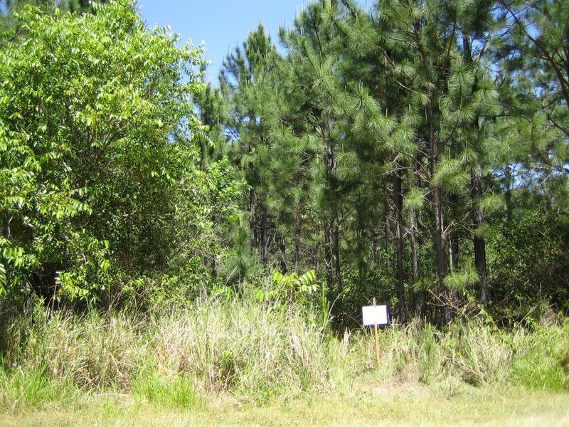 88  Laurel Street, Russell Island QLD 4184