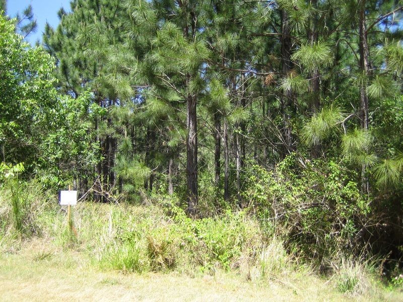 88  Laurel Street, Russell Island QLD 4184