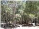 4 Sapphire  Street, Russell Island QLD 4184