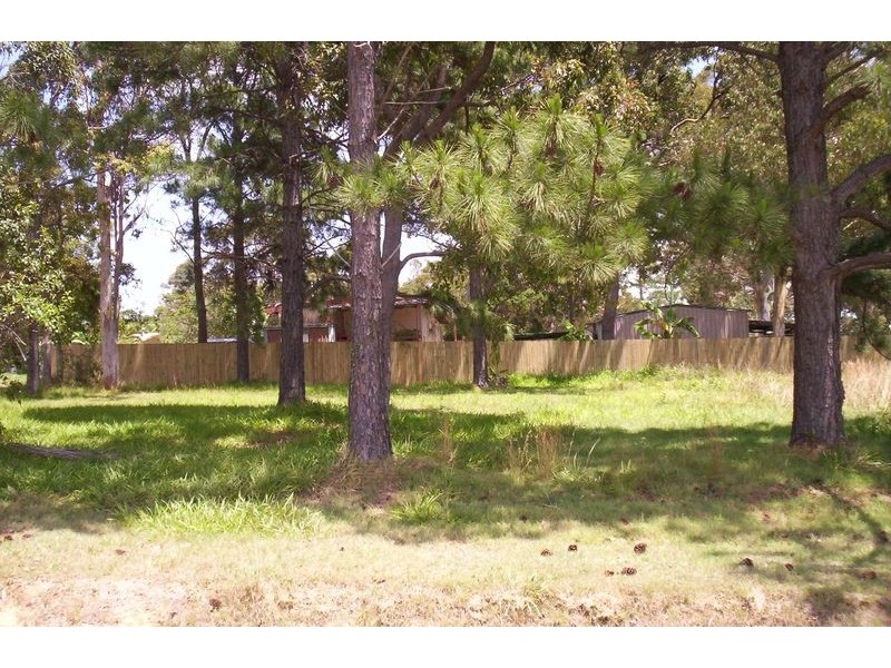 .  Akebia, Russell Island QLD 4184