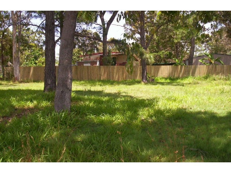 .  Akebia, Russell Island QLD 4184