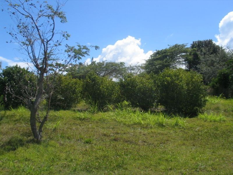 29  Roebuck Rd, Russell Island QLD 4184