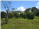 31  Roebuck Rd, Russell Island QLD 4184