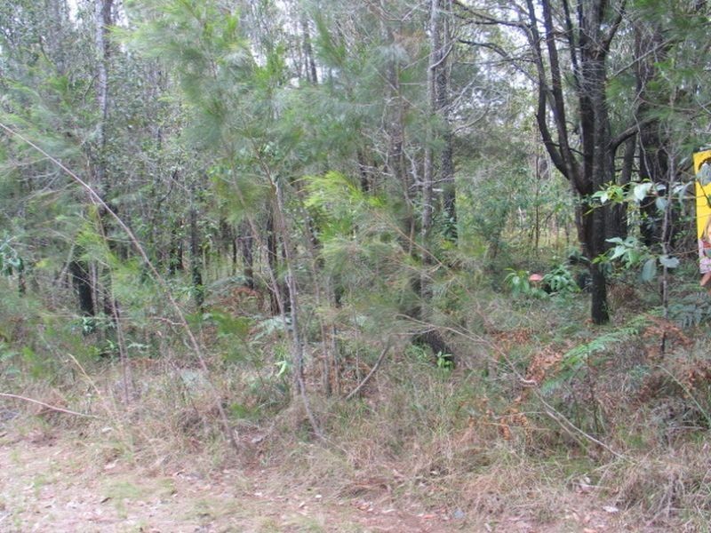 45 Rumbin Street, Russell Island QLD 4184