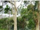 Russell Island QLD 4184