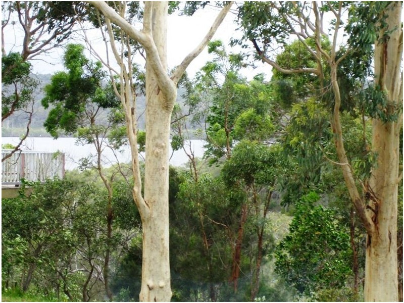Russell Island QLD 4184