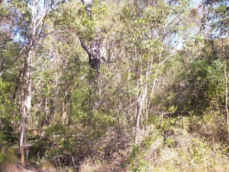 14  Burke Avenue, Russell Island QLD 4184