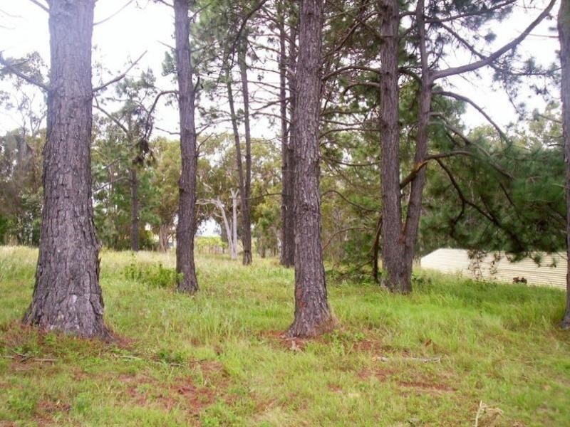 50 Canaipa Road, Russell Island QLD 4184