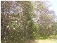 82 Laurel Street, Russell Island QLD 4184
