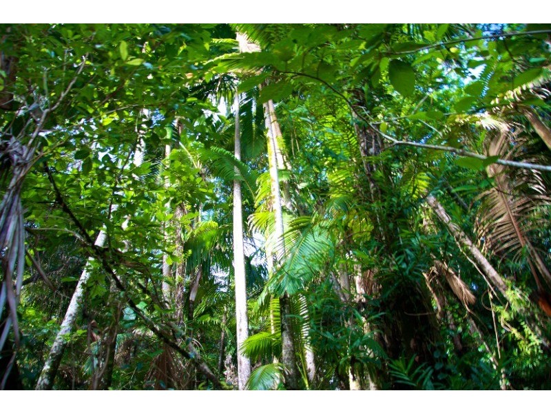 196 Sandy Creek Road, Yeppoon QLD 4703