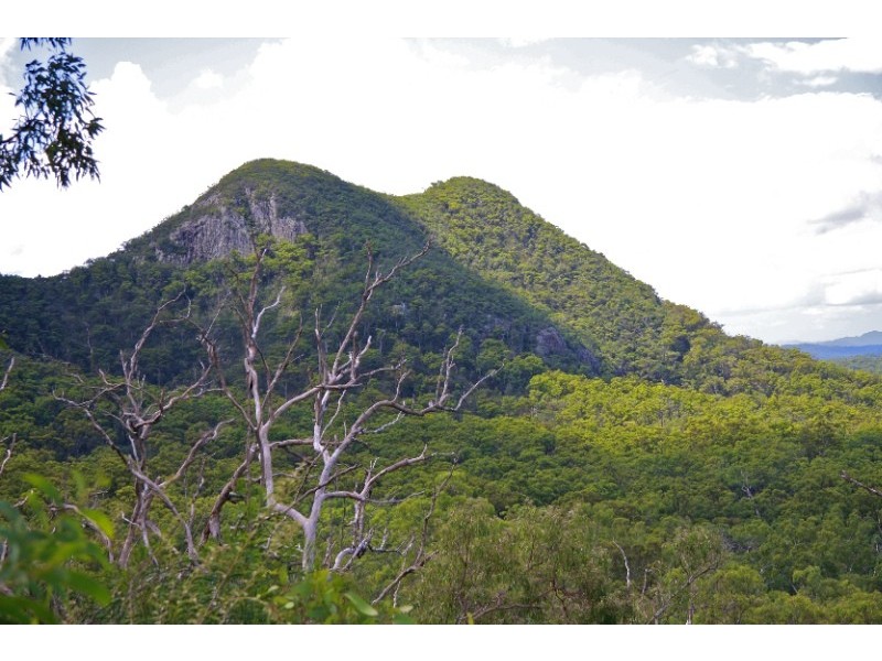 428 Old Post Office Road, Cawarral QLD 4702