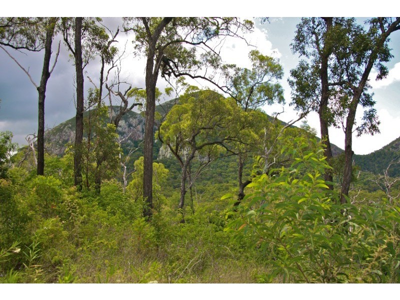 428 Old Post Office Road, Cawarral QLD 4702