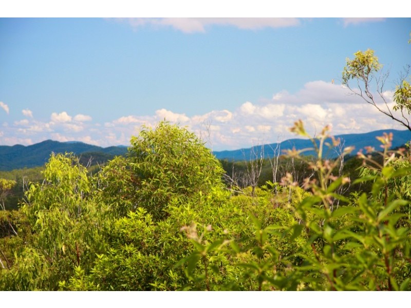 428 Old Post Office Road, Cawarral QLD 4702