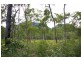 428 Old Post Office Road, Cawarral QLD 4702