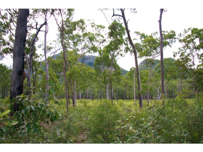 428 Old Post Office Road, Cawarral QLD 4702