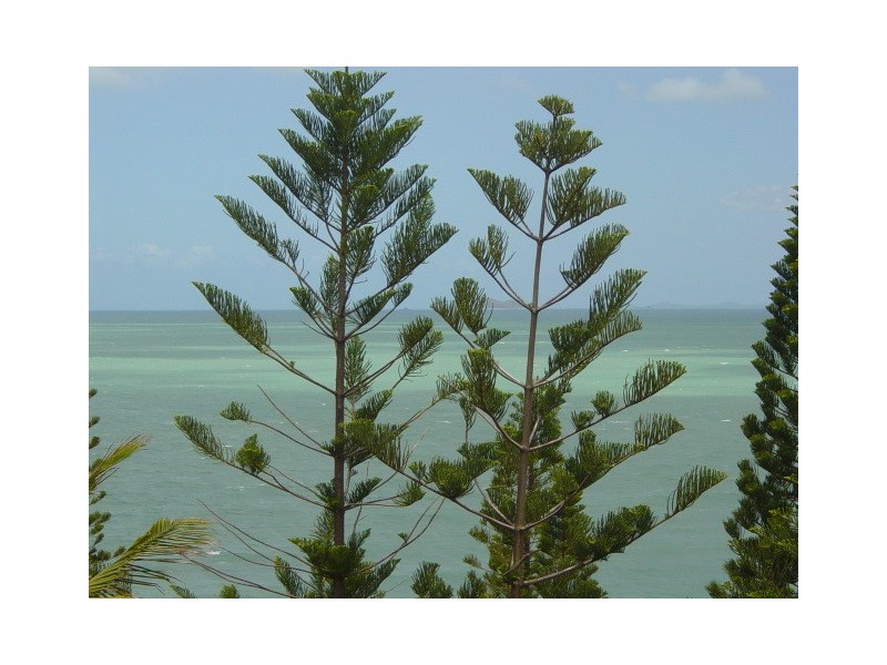 7 Alexander Street, Zilzie QLD 4710