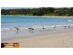 7 Kennedy Street, Emu Park QLD 4710
