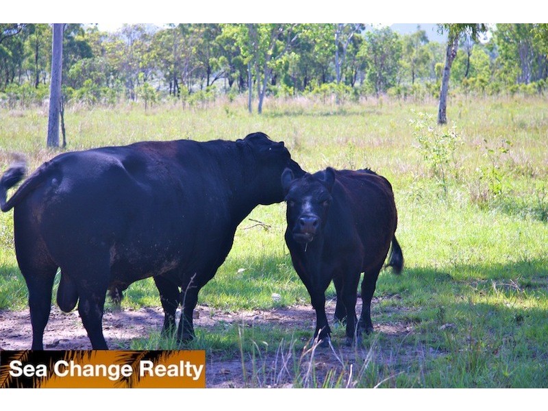 3064 Emu Park Road, Rockhampton QLD 4700