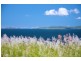 4 Livistona Crescent, Emu Park QLD 4710