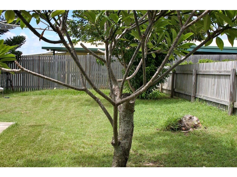 50 Wood Street, Emu Park QLD 4710