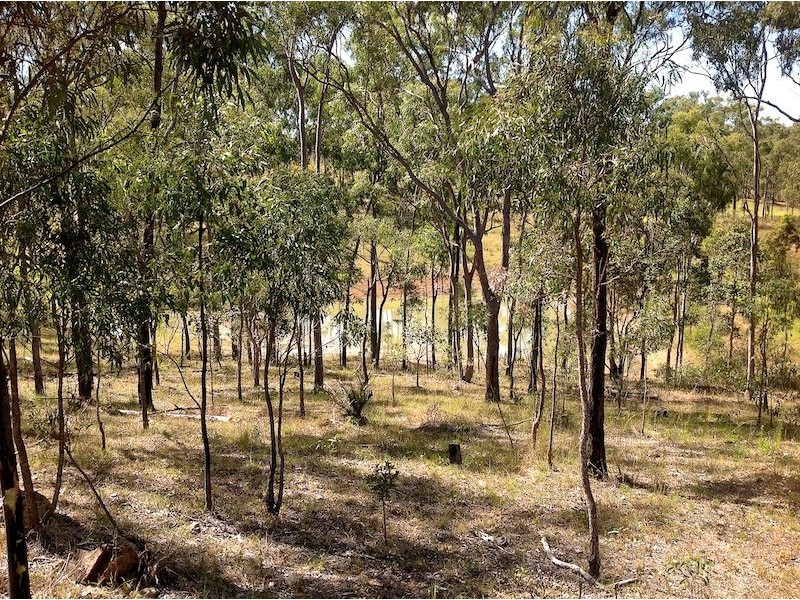 25 Botos Road, Rockhampton QLD 4700