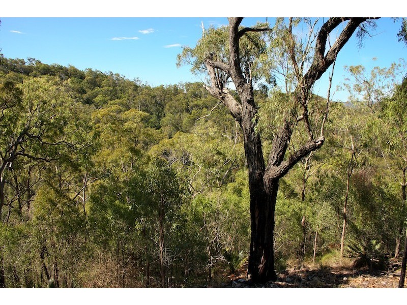 66 Clinton Road, Cawarral QLD 4702