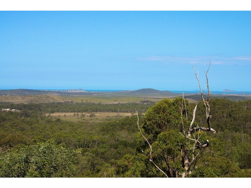 66 Clinton Road, Cawarral QLD 4702
