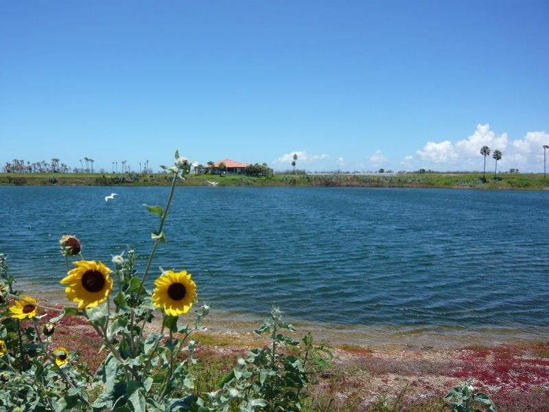 43 Sorrento Way, Zilzie QLD 4710