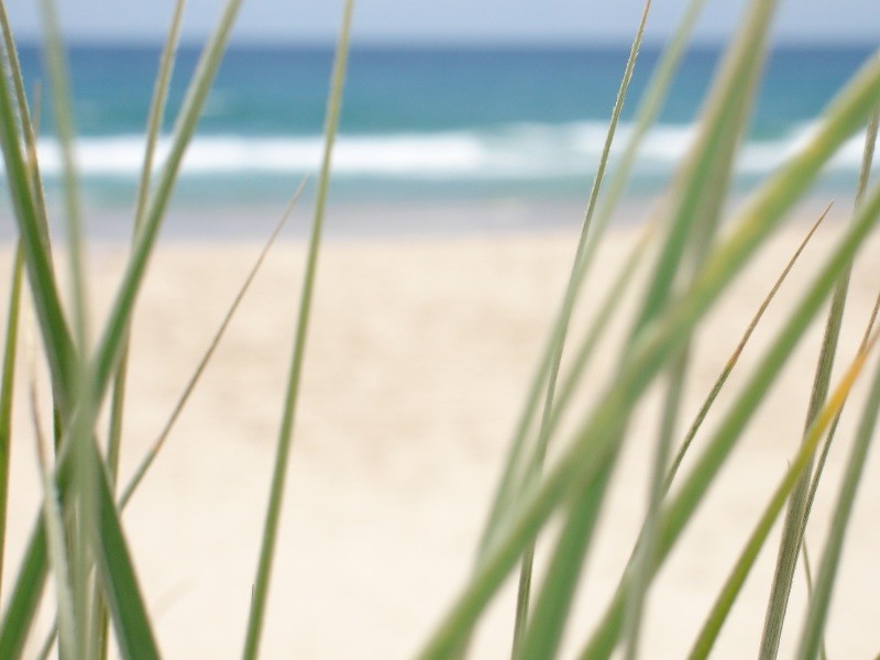 14 Coral Close, Zilzie QLD 4710