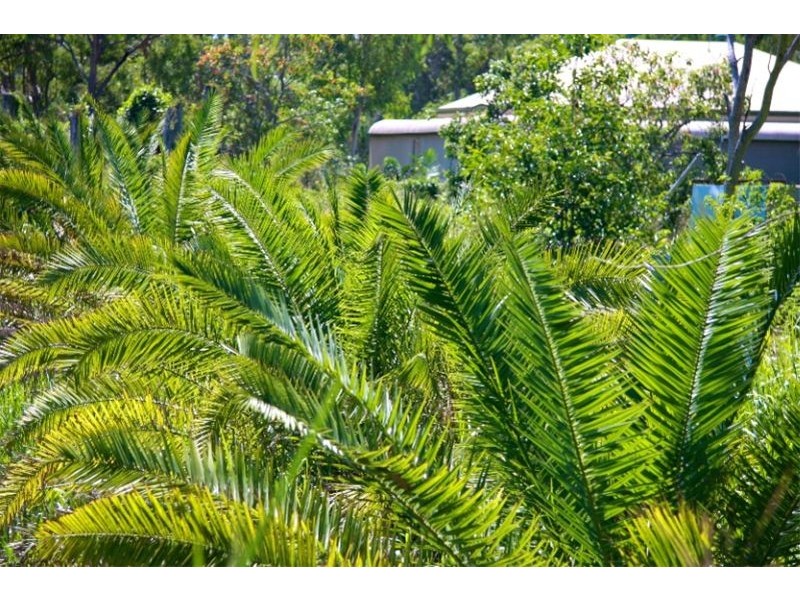 3269 Emu Park Road, Emu Park QLD 4710