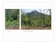 Cawarral QLD 4702