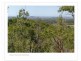 Cawarral QLD 4702