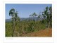 Cawarral QLD 4702