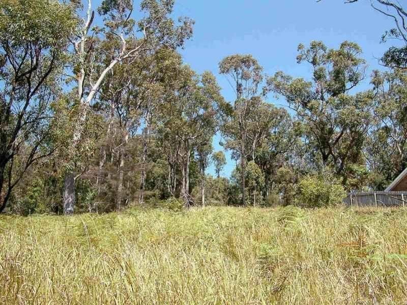 Macquarie Hills NSW 2285