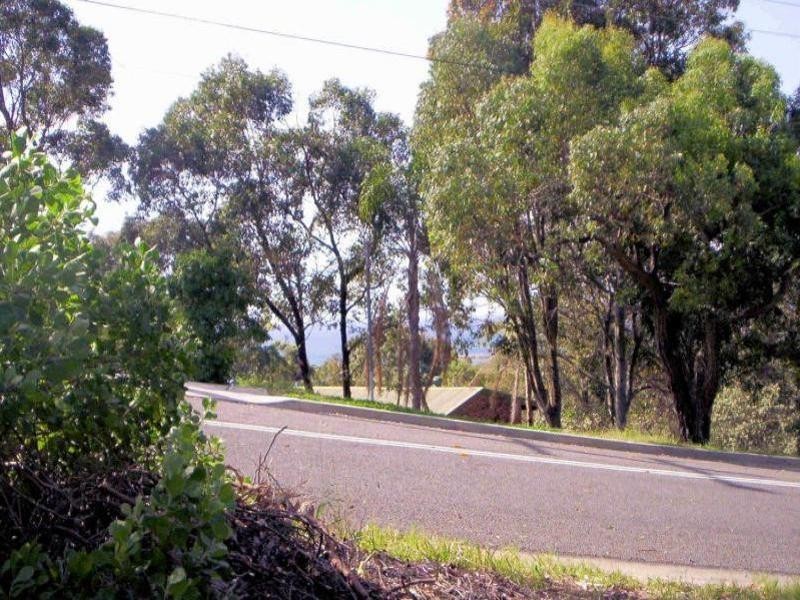 Caves Beach NSW 2281