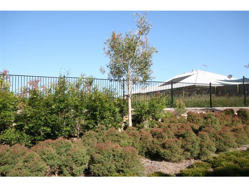 8 Silkyoak Court, North Lakes QLD 4509