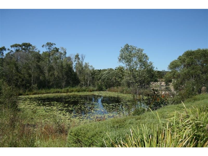 20 Douglas Circuit, North Lakes QLD 4509