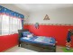 Mount Annan NSW 2567