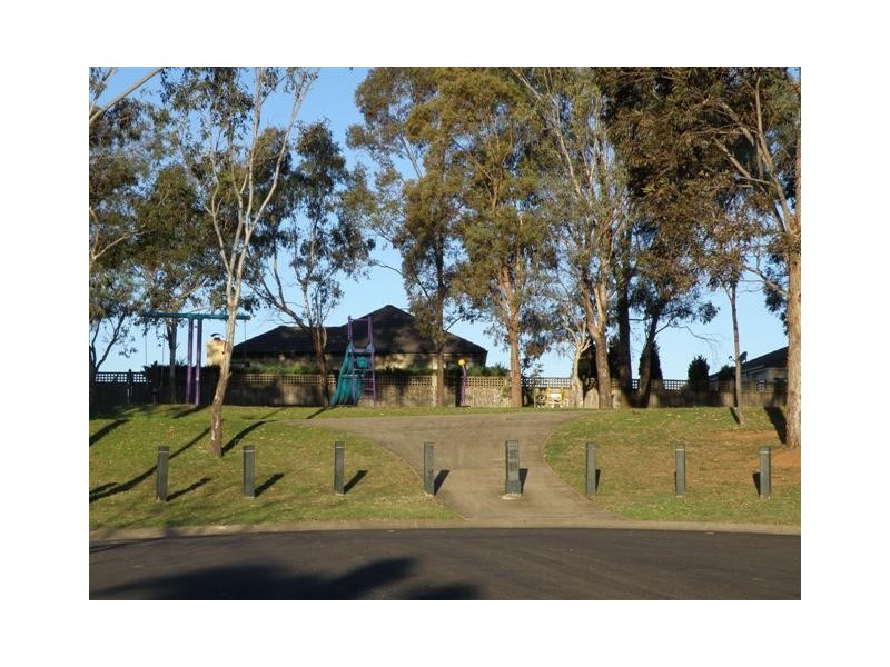 17 Wright Place, Narellan Vale NSW 2567